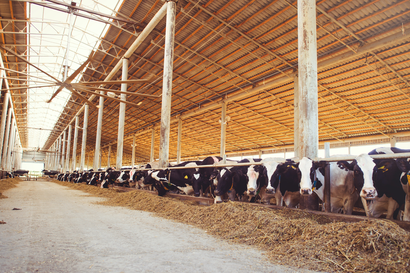 All4Farm
